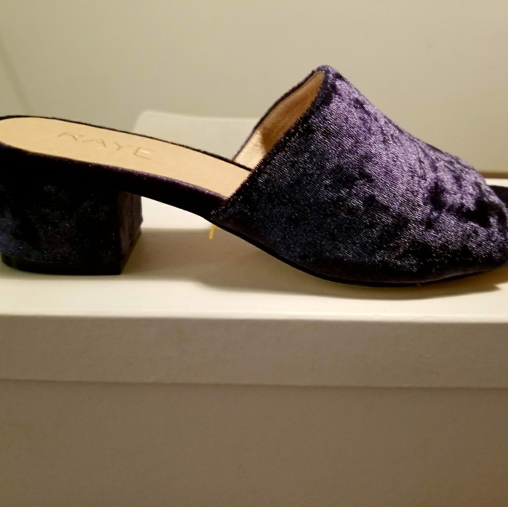 RAYE Velvet Mules from Revolve
